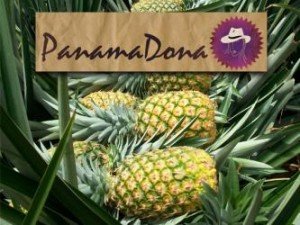 Panama Pineapple