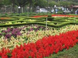 Flowers Bloom at the Boquete Fair 2013