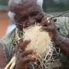 'Coconut Peeler', Andres Gardin, at the tender age of 64, is hell-bent on gnawing his way into the Guinness Book of World Records.