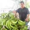 Plant manager stands in front of harvested palantains in Paama