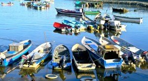 Panama Fishing Boats